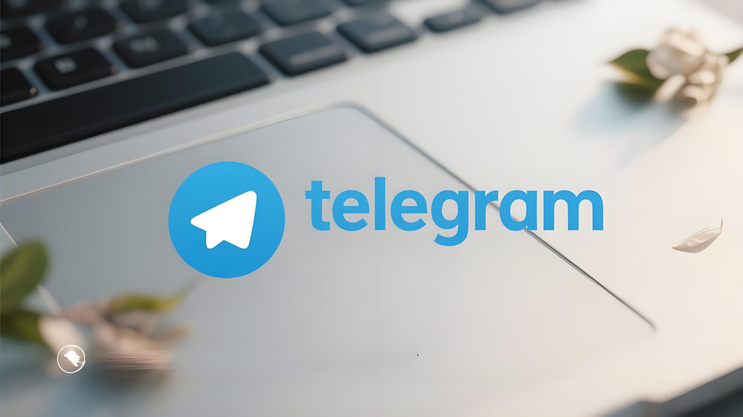 PC、安卓和iOS更新Telegram有何不同？差别比你想象的更大