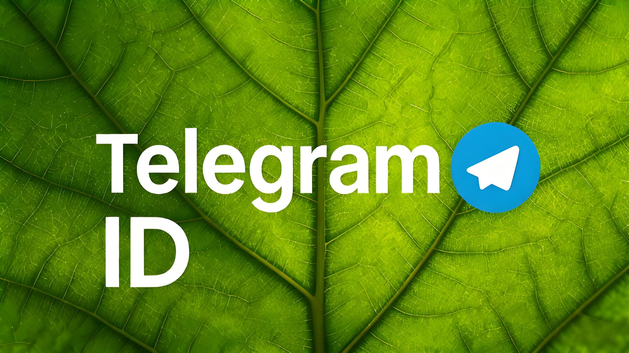 Telegram ID隐私安全吗？完整指南