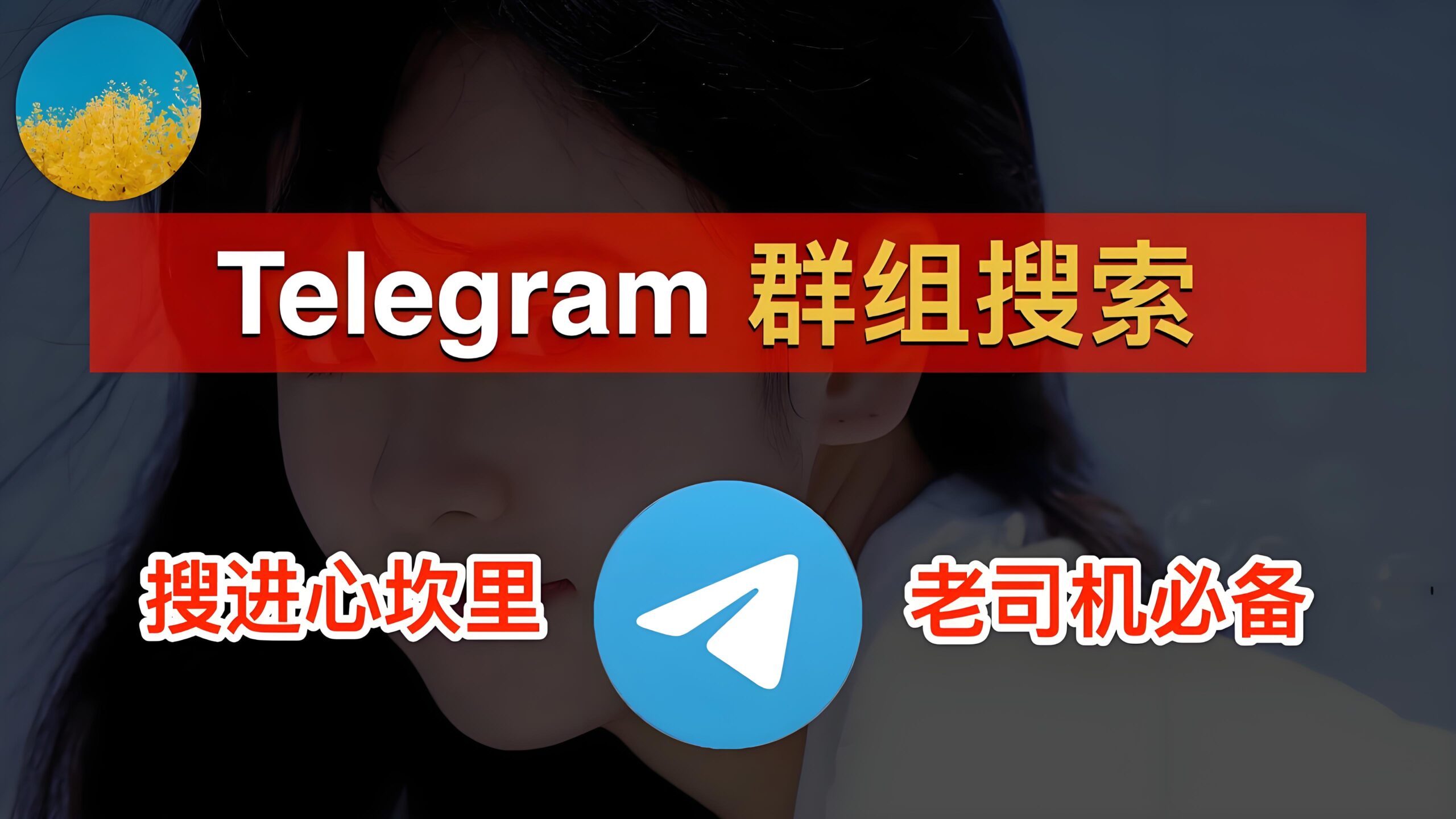 Telegram电报如何查找群组？