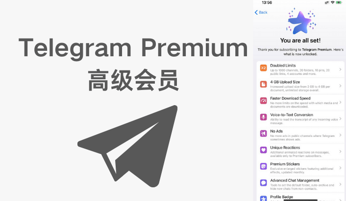 Telegram Premium怎么开?完整步骤